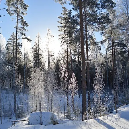 Kivitatti Sysmä