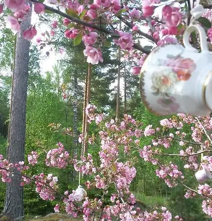 Frühstückspension Kivitatti